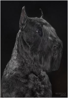 �������������