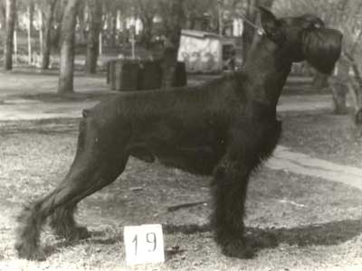 Gaston Z.Kulikova