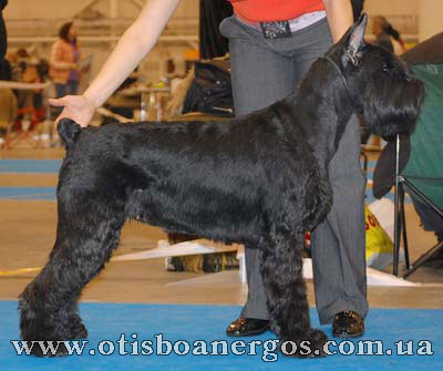  Otis Boanergas Dior Milana 
