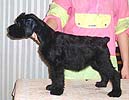  Otis Boanergas Dior Milana 