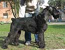  Otis Boanergos Orhideya