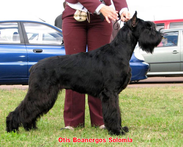 �tis Boanergos Solomiya